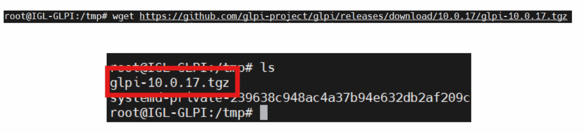 glpi-srv 10